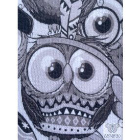 Indiántollas bagoly