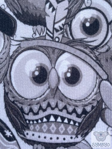 Indiántollas bagoly