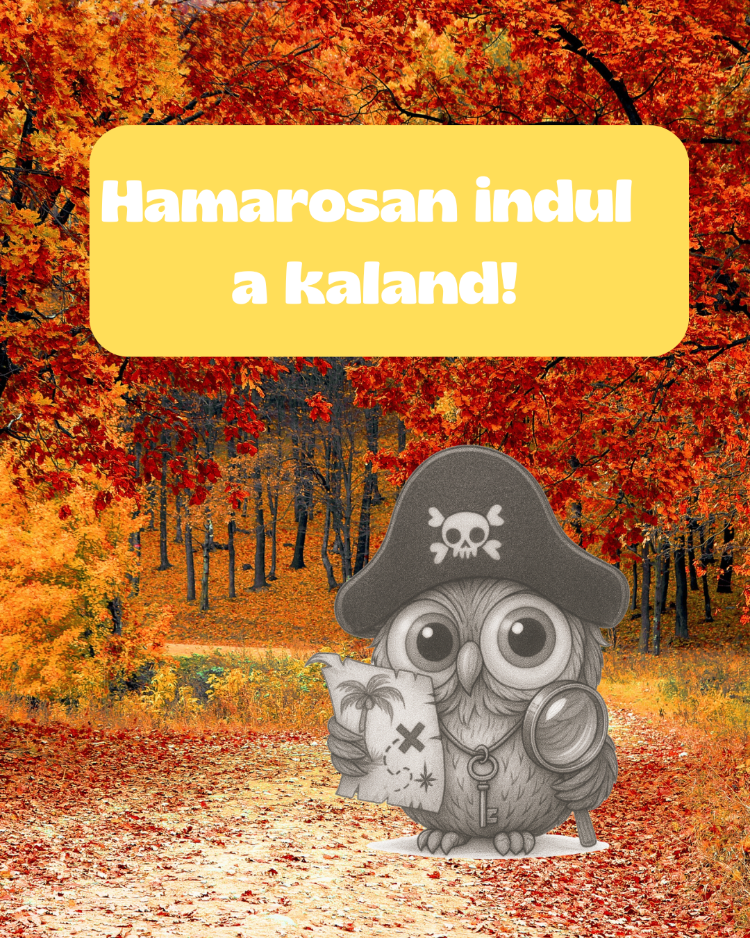 Kincskereső játék, találd meg a baglyokat! 